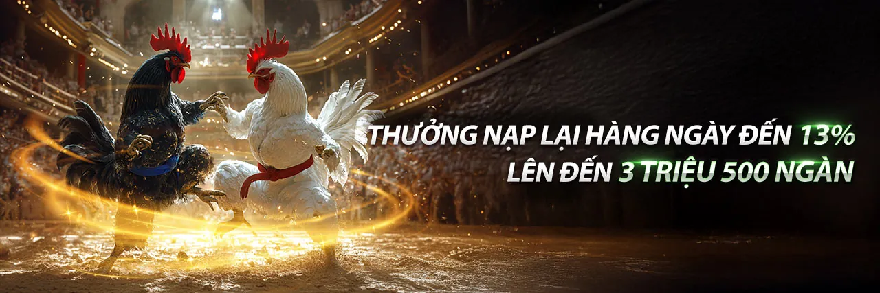 Trực Tiếp Đá Gà Hôm Nay CPC3 Trận 28 – S666 Đăng Nhập & Ưu Đãi Hấp Dẫn 2026